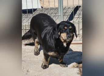 Junge Aimi sucht ihr großes Glück