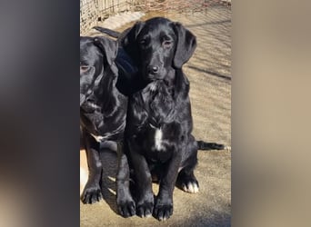 Pedro ❤️ aktiver, so aufgeschlossener Bub