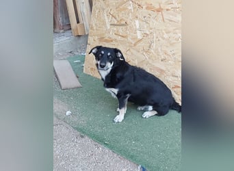 Daiana- kleiner Sonnenschein mit riesengrossem Herz