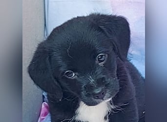 Carlos