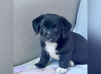 Carlos