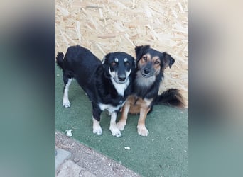 Daiana- kleiner Sonnenschein mit riesengrossem Herz