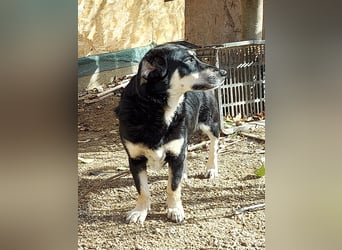 Daiana- kleiner Sonnenschein mit riesengrossem Herz