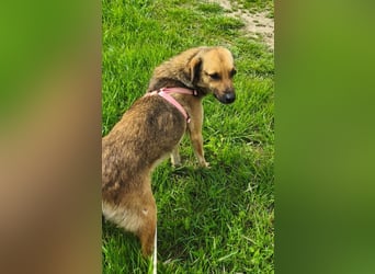 Chanel - von der Müllhalde in den Luxus - noch in Rumänien