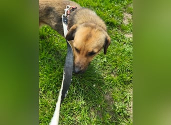 Chanel - von der Müllhalde in den Luxus - noch in Rumänien