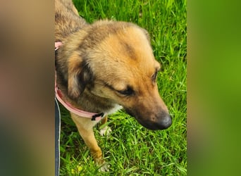 Chanel - von der Müllhalde in den Luxus - noch in Rumänien