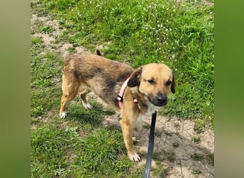 Chanel - von der Müllhalde in den Luxus - noch in Rumänien