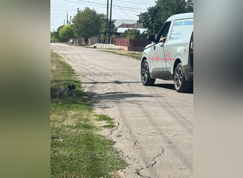 Cosy hatte kein einfaches Leben