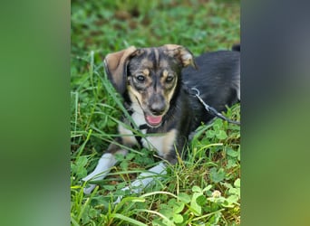 Kleine Ulla sucht Geborgenheit