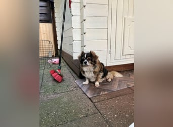Seniorin Norica ist ein echter Schatz