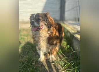 Seniorin Norica ist ein echter Schatz