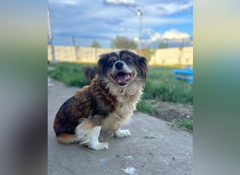 Seniorin Norica ist ein echter Schatz