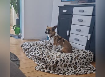 Hannah-schüchterne Seele sucht Halt