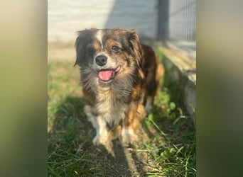 Seniorin Norica ist ein echter Schatz