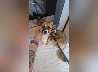 Hannah-schüchterne Seele sucht Halt