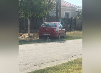 Cosy hatte kein einfaches Leben