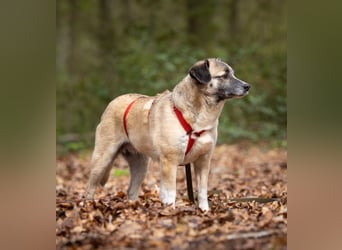 Cosy hatte kein einfaches Leben