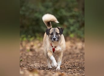 Cosy hatte kein einfaches Leben