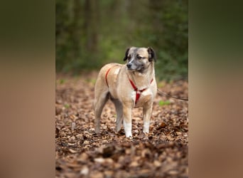 Cosy hatte kein einfaches Leben