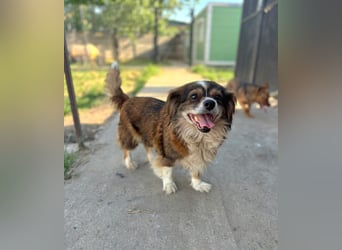 Seniorin Norica ist ein echter Schatz