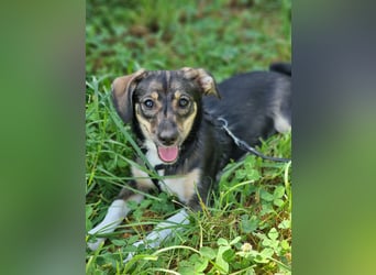 Kleine Ulla sucht Geborgenheit