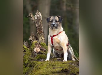 Cosy hatte kein einfaches Leben