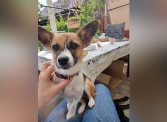 Hannah-schüchterne Seele sucht Halt