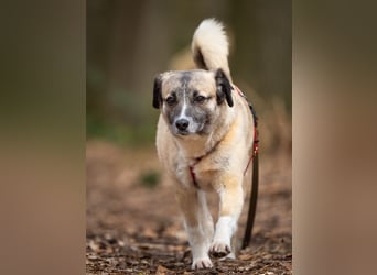 Cosy hatte kein einfaches Leben