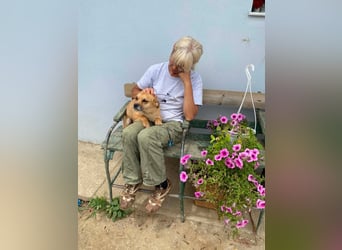Mara sucht ein Für-immer-Zuhause