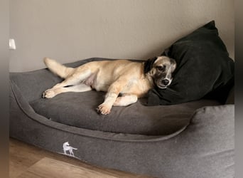 Cosy hatte kein einfaches Leben