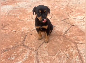 Kiwi - offen und freundlich