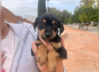 Kiwi - offen und freundlich