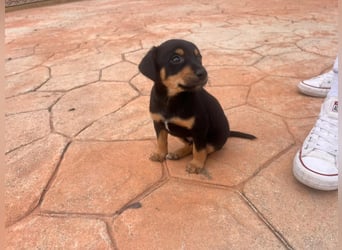 Kiwi - offen und freundlich