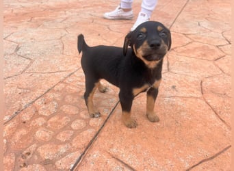 Kiwi - offen und freundlich