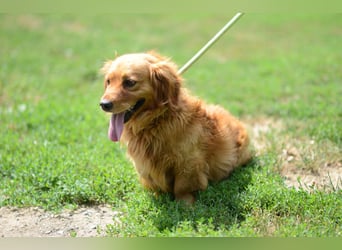 Magyi