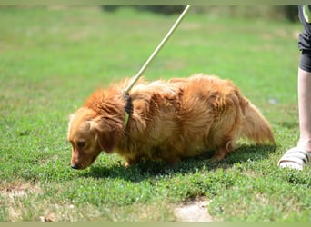 Magyi