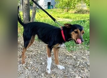Heidi sucht ihre Herzensmenschen