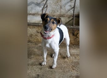 Möök, geb. ca. 04/2025, lebt in GRIECHENLAND, auf einer privaten Pflegestelle