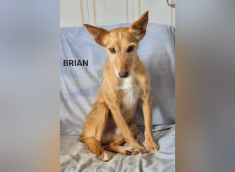 Brian ist noch etwas ängstlich