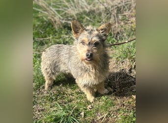 SUNNY wartet in 35329