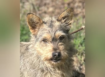 SUNNY wartet in 35329