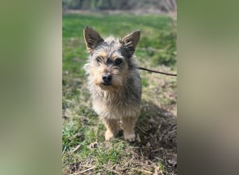 SUNNY wartet in 35329