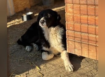 Lou süße Entdeckerin