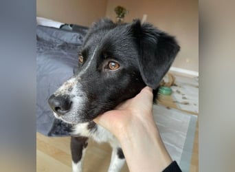 Lou süße Entdeckerin