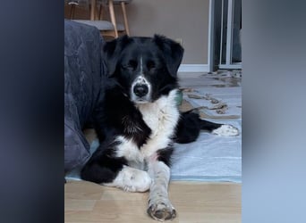 Lou süße Entdeckerin