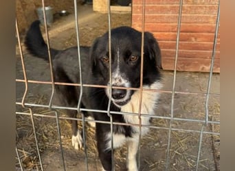 Lou süße Entdeckerin