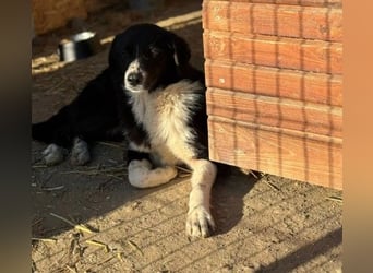 Lou süße Entdeckerin