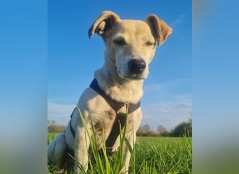 SMILLA - verschmuste Seniorin sucht ihr "final match"