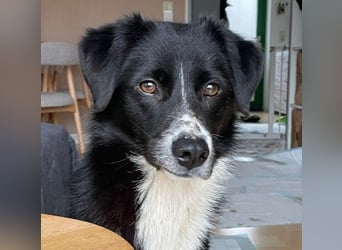 Lou süße Entdeckerin