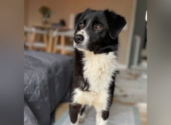 Lou süße Entdeckerin